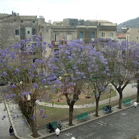 Jacaranda